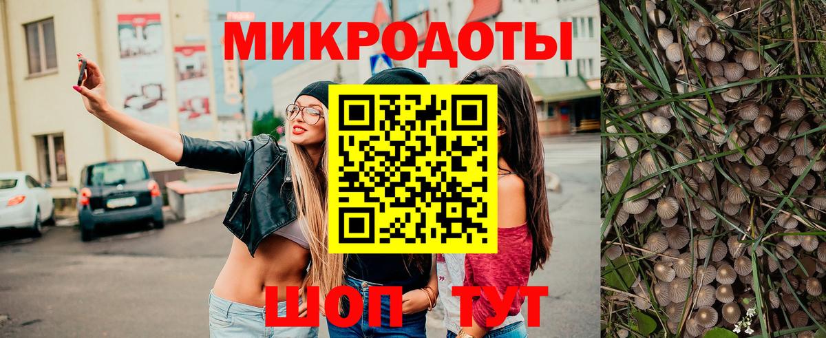 Галлюциногенные грибы Cubensis Карпинск