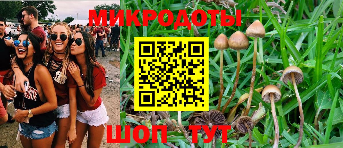 Галлюциногенные грибы GOLDEN TEACHER  Вход с VPN  Карпинск 