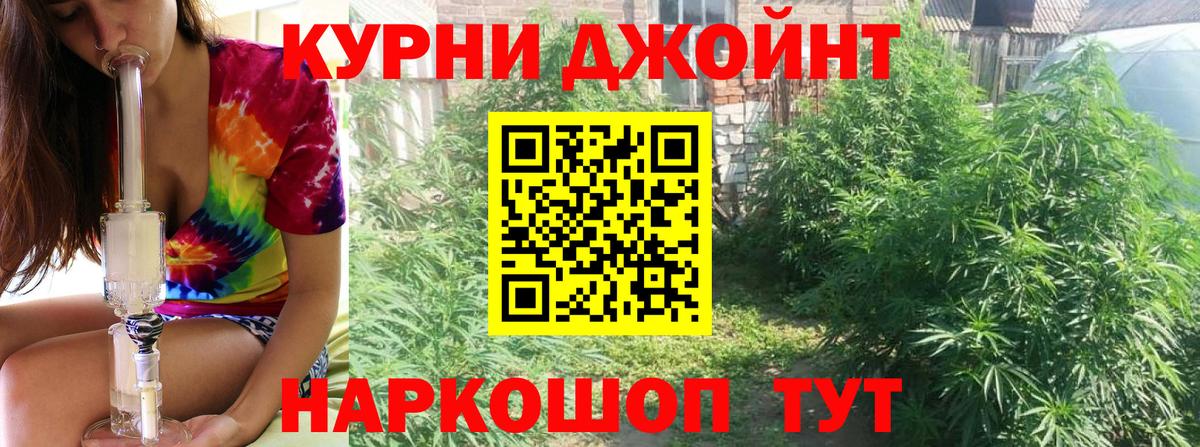 Марихуана OG Kush Карпинск